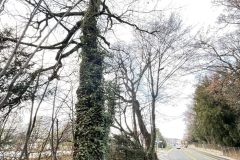 mobilite-autrement.ch-mobilite-autrement.ch-img-7159-scaled