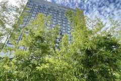 mobilite-autrement.ch-img-3076