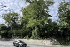 mobilite-autrement.ch-img-3108