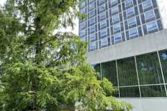 mobilite-autrement.ch-img-3110