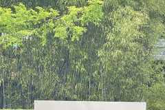 mobilite-autrement.ch-img-3113