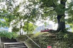 mobilite-autrement.ch-img-3118