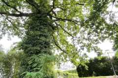 mobilite-autrement.ch-img-3120