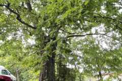 mobilite-autrement.ch-img-3123