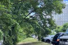 mobilite-autrement.ch-img-3142