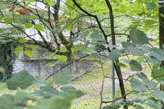 mobilite-autrement.ch-img-3153