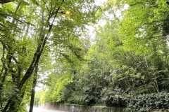 mobilite-autrement.ch-img-3156