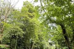 mobilite-autrement.ch-img-3157