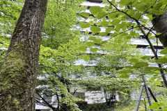 mobilite-autrement.ch-img-3160