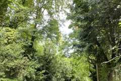 mobilite-autrement.ch-img-3169