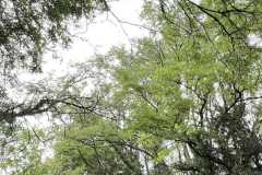 mobilite-autrement.ch-img-3179