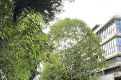 mobilite-autrement.ch-img-3190