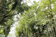 mobilite-autrement.ch-img-3199