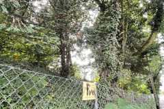 mobilite-autrement.ch-img-3200