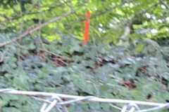 mobilite-autrement.ch-img-3201