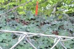 mobilite-autrement.ch-img-3202