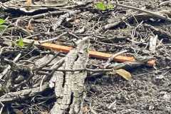 mobilite-autrement.ch-img-3204