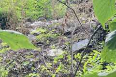 mobilite-autrement.ch-img-3206