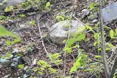 mobilite-autrement.ch-img-3207