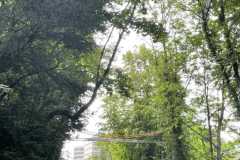 mobilite-autrement.ch-img-3208