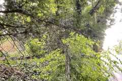 mobilite-autrement.ch-img-3211