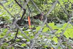 mobilite-autrement.ch-img-3212