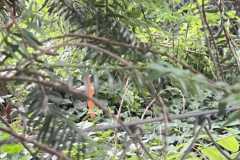 mobilite-autrement.ch-img-3213