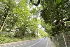 mobilite-autrement.ch-img-3219