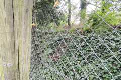 mobilite-autrement.ch-img-3225