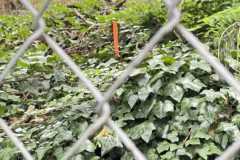 mobilite-autrement.ch-img-3226