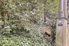 mobilite-autrement.ch-img-3228