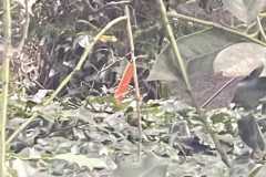 mobilite-autrement.ch-img-3229