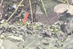 mobilite-autrement.ch-img-3230