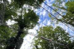 mobilite-autrement.ch-img-3232