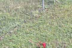 mobilite-autrement.ch-img-3272