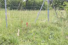 mobilite-autrement.ch-img-3275