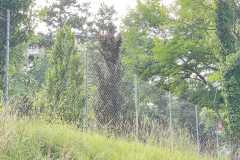 mobilite-autrement.ch-img-3278