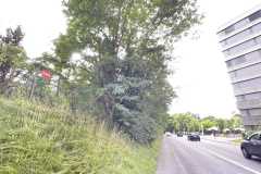 mobilite-autrement.ch-img-3283