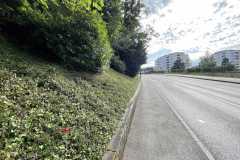 mobilite-autrement.ch-img-3293