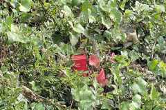 mobilite-autrement.ch-img-3295