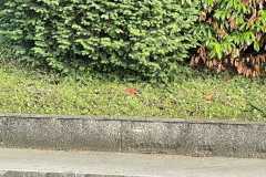 mobilite-autrement.ch-img-3301