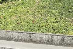 mobilite-autrement.ch-img-3302