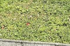 mobilite-autrement.ch-img-3303