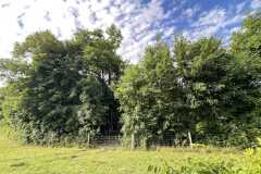 mobilite-autrement.ch-img-3309