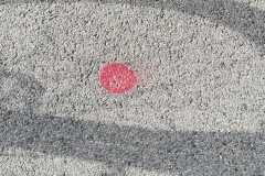 mobilite-autrement.ch-img-3312