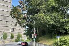 mobilite-autrement.ch-img-3316