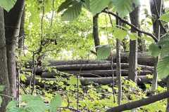 mobilite-autrement.ch-img-3325