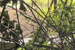 mobilite-autrement.ch-img-3326