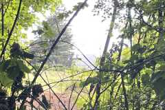 mobilite-autrement.ch-img-3327