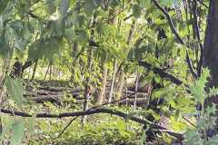 mobilite-autrement.ch-img-3328